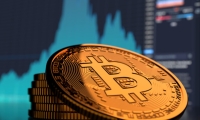 ST世茂：1-12月公司房地产新开工面积同比下降91%