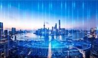 世卫组织称在加沙地带发现脊髓灰质炎病毒